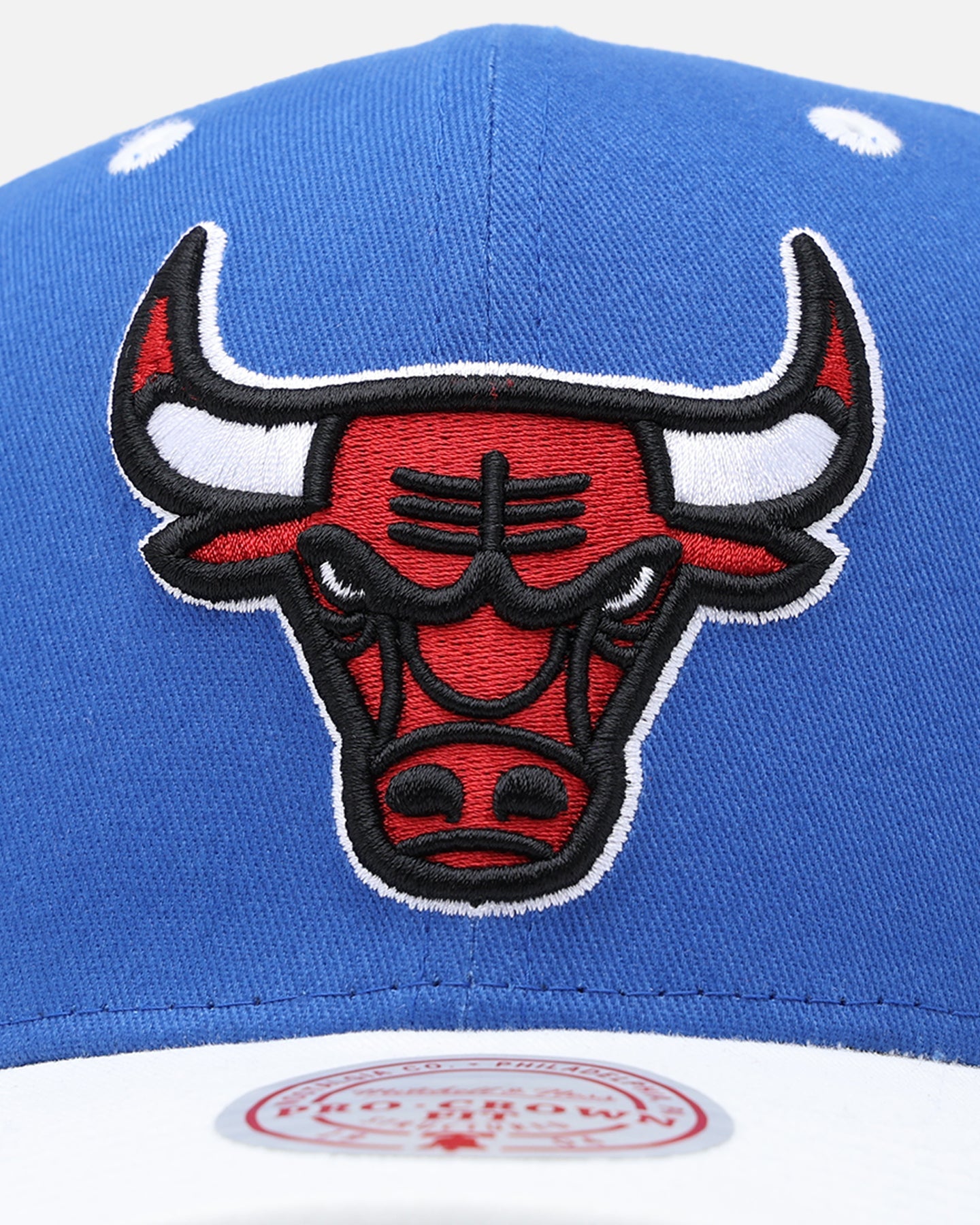 Mitchell & Ness Chicago Bulls '1993 All Stars East' Pro Crown Snapback Blue/White